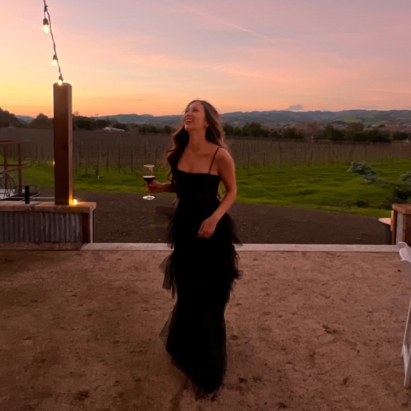 BCBG / Revolve Tulle Gown - Picture 6 of 7